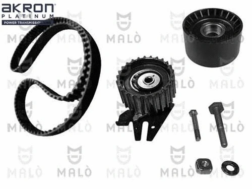Timing Belt Kit (1551018)