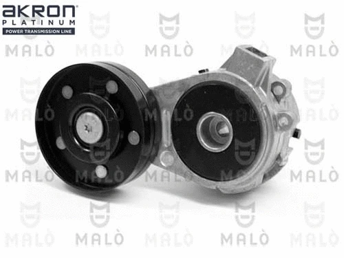 Tensioner Lever, V-ribbed belt (1570205)