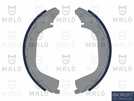 Brake Shoe Set (1390041)