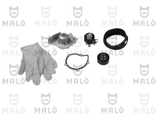 Water Pump & Timing Belt Kit (1555008)