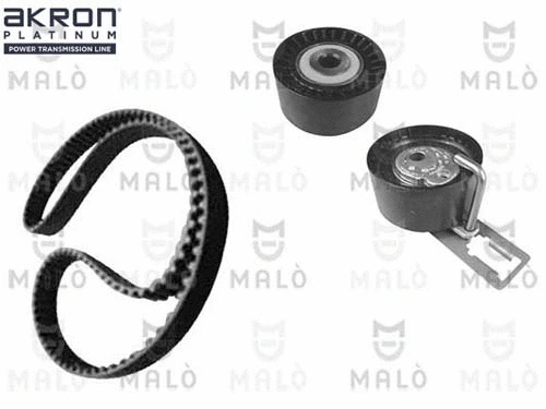 Timing Belt Kit (1551032)