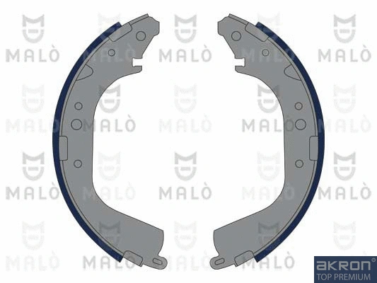Brake Shoe Set (1390267)