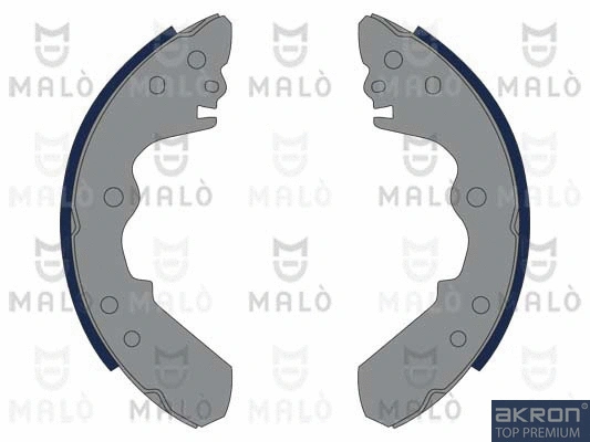 Brake Shoe Set (1390007)