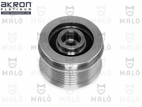 Alternator Freewheel Clutch (1580021)