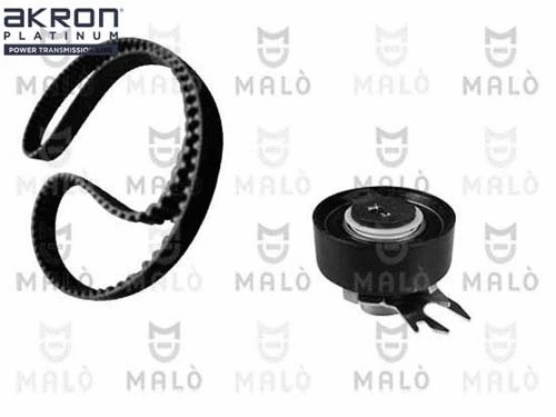 Timing Belt Kit (1551050)