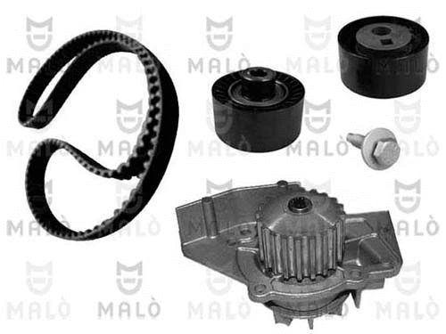 Water Pump & Timing Belt Kit (1555013)