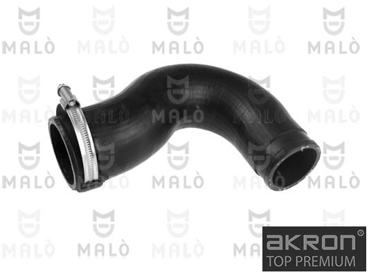 Charge Air Hose (244892A)