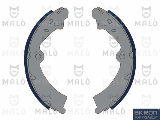 Brake Shoe Set (1390330)