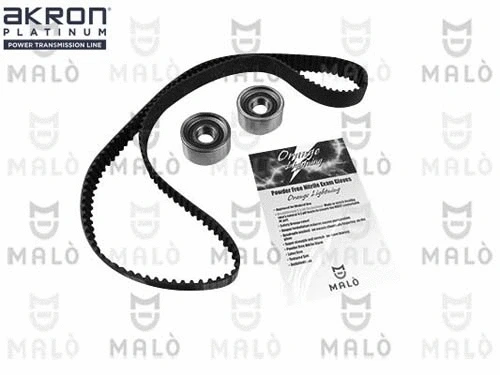 Timing Belt Kit (1551033)