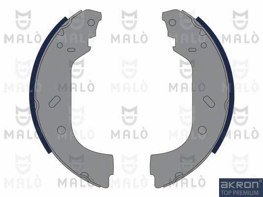 Brake Shoe Set (1390019)