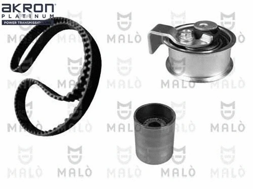 Timing Belt Kit (1551011)