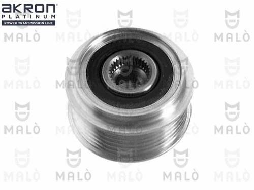 Alternator Freewheel Clutch (1580053)