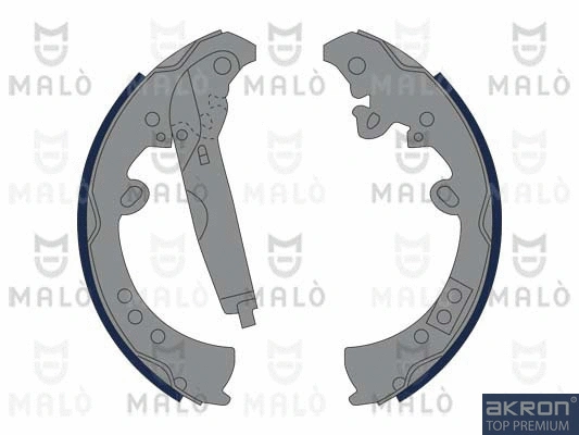 Brake Shoe Set (1390289)