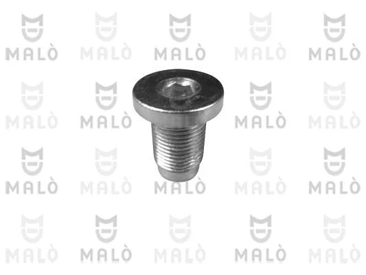 Screw Plug, oil sump (120010)