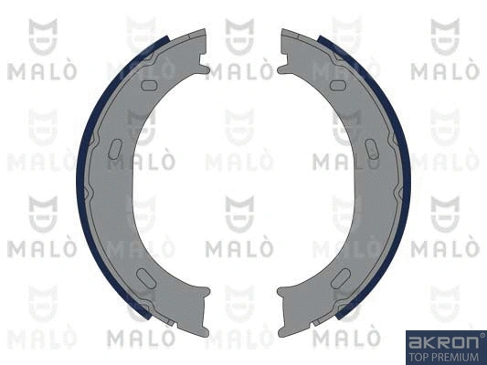 Brake Shoe Set, parking brake (1390169)