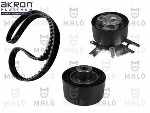 Timing Belt Kit (1551008)