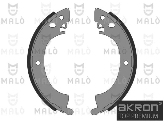 Brake Shoe Set (1390140)