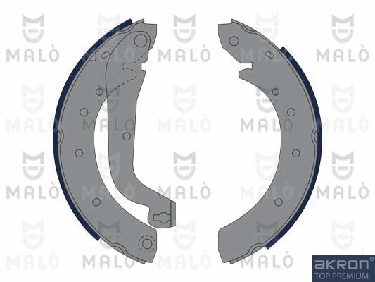 Brake Shoe Set (1390044)