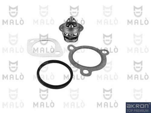 Thermostat, coolant (TER066)