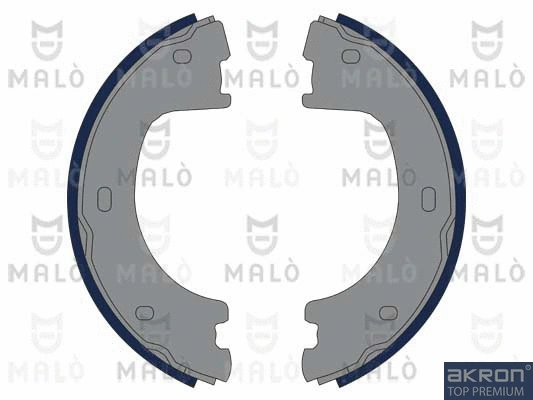 Brake Shoe Set, parking brake (1390178)