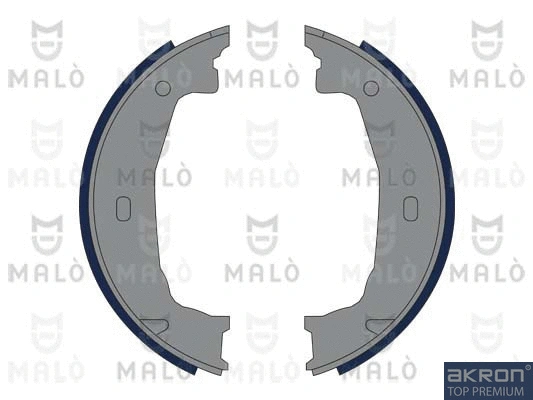 Brake Shoe Set, parking brake (1390015)