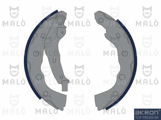 Brake Shoe Set (1390141)