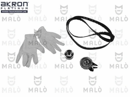 Timing Belt Kit (1551022)