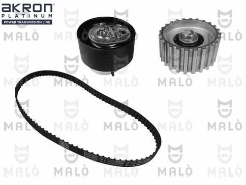 Timing Belt Kit (1551019)