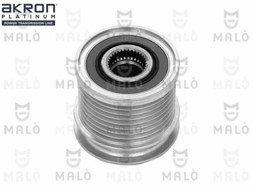 Alternator Freewheel Clutch (1580071)