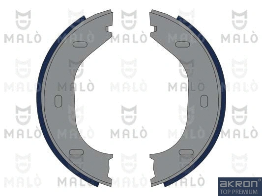 Brake Shoe Set, parking brake (1390009)