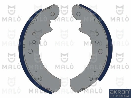 Brake Shoe Set (1390097)