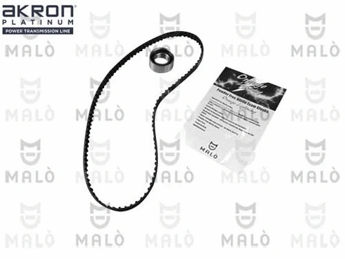 Timing Belt Kit (1551079)