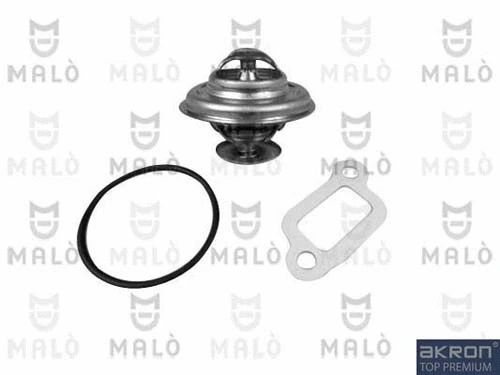 Thermostat, coolant (TER170)