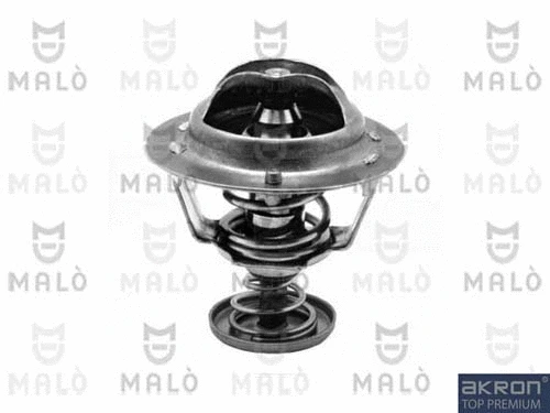 Thermostat, coolant (TER419)