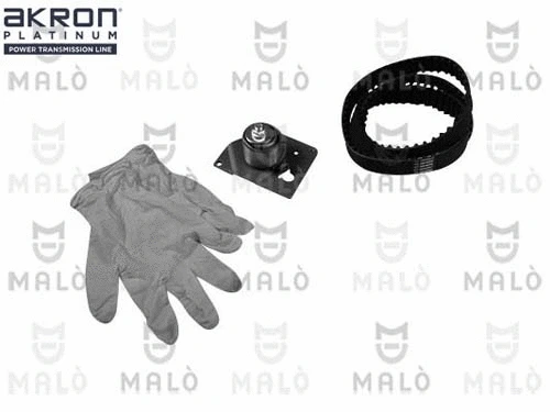 Timing Belt Kit (1551070)