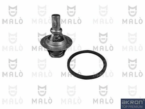 Thermostat, coolant (TER138)