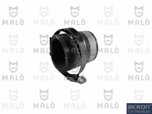 Charge Air Hose (302991A)