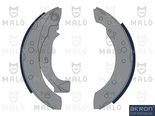 Brake Shoe Set (1390023)