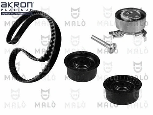 Timing Belt Kit (1551056)