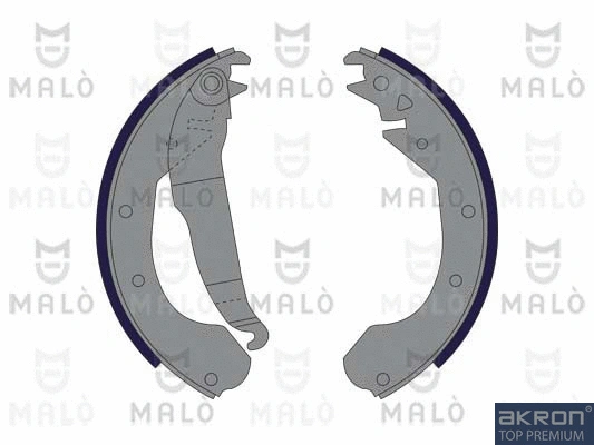 Brake Shoe Set (1390220)