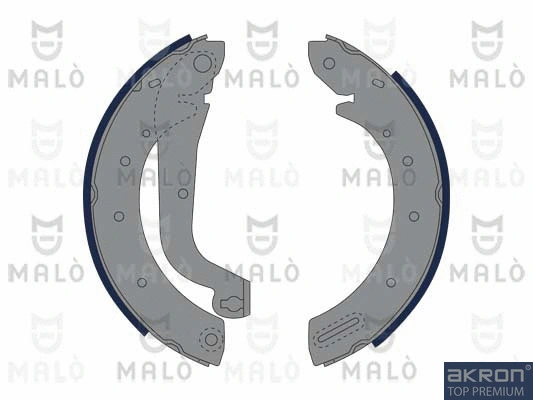 Brake Shoe Set (1390043)
