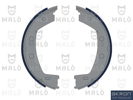 Brake Shoe Set, parking brake (1390257)