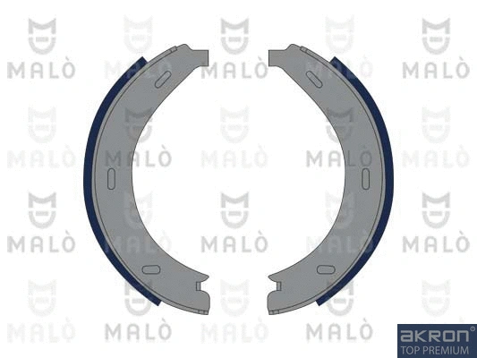 Brake Shoe Set, parking brake (1390168)