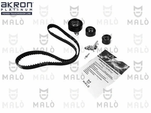 Timing Belt Kit (1551057)