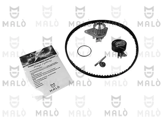 Water Pump & Timing Belt Kit (1555065)