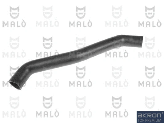 Radiator Hose (162032A)