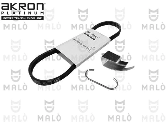 V-Ribbed Belt (4PV753E)