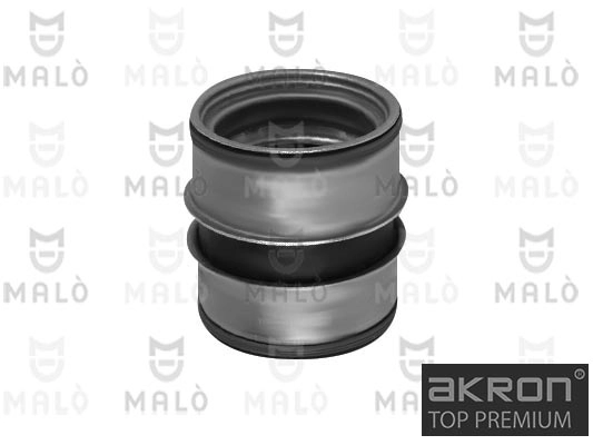 Charge Air Hose (179161SIL)