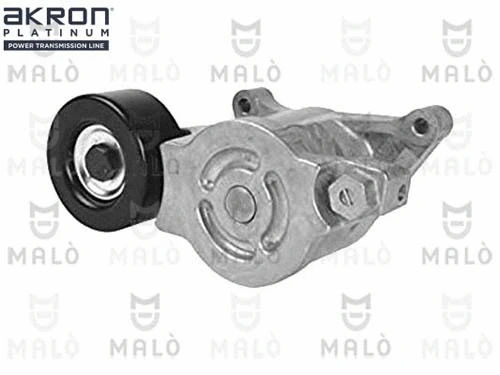 Tensioner Lever, V-ribbed belt (1570515)