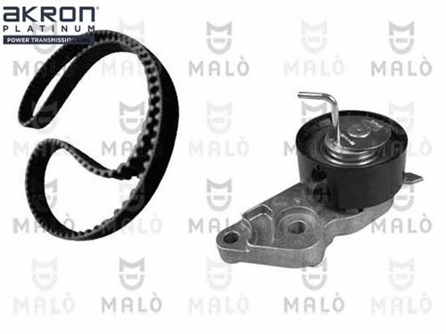 Timing Belt Kit (1551010)